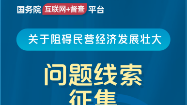 逼屄国务院“互联网+督查”平台公开征集阻碍民营经济发展壮大问题线索